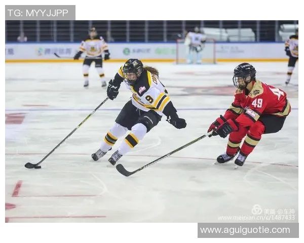 台北白队迎战加拿大队力争在国际赛场上展现实力与风采