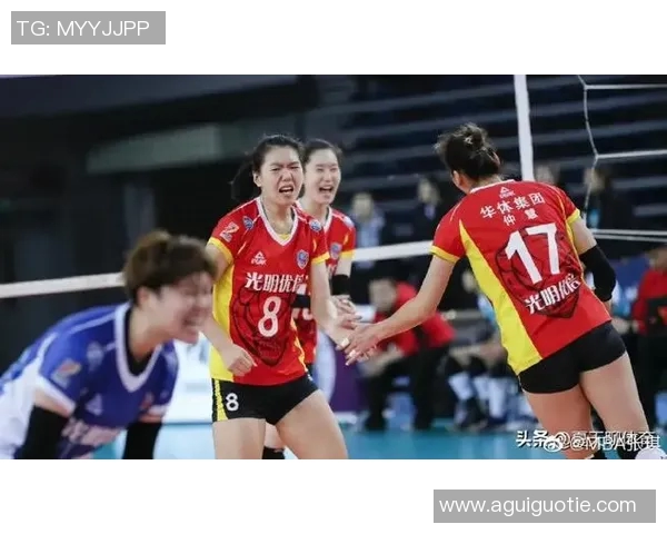 聚焦排球：深入探讨上海排球队的团队意识与文化建设MBA